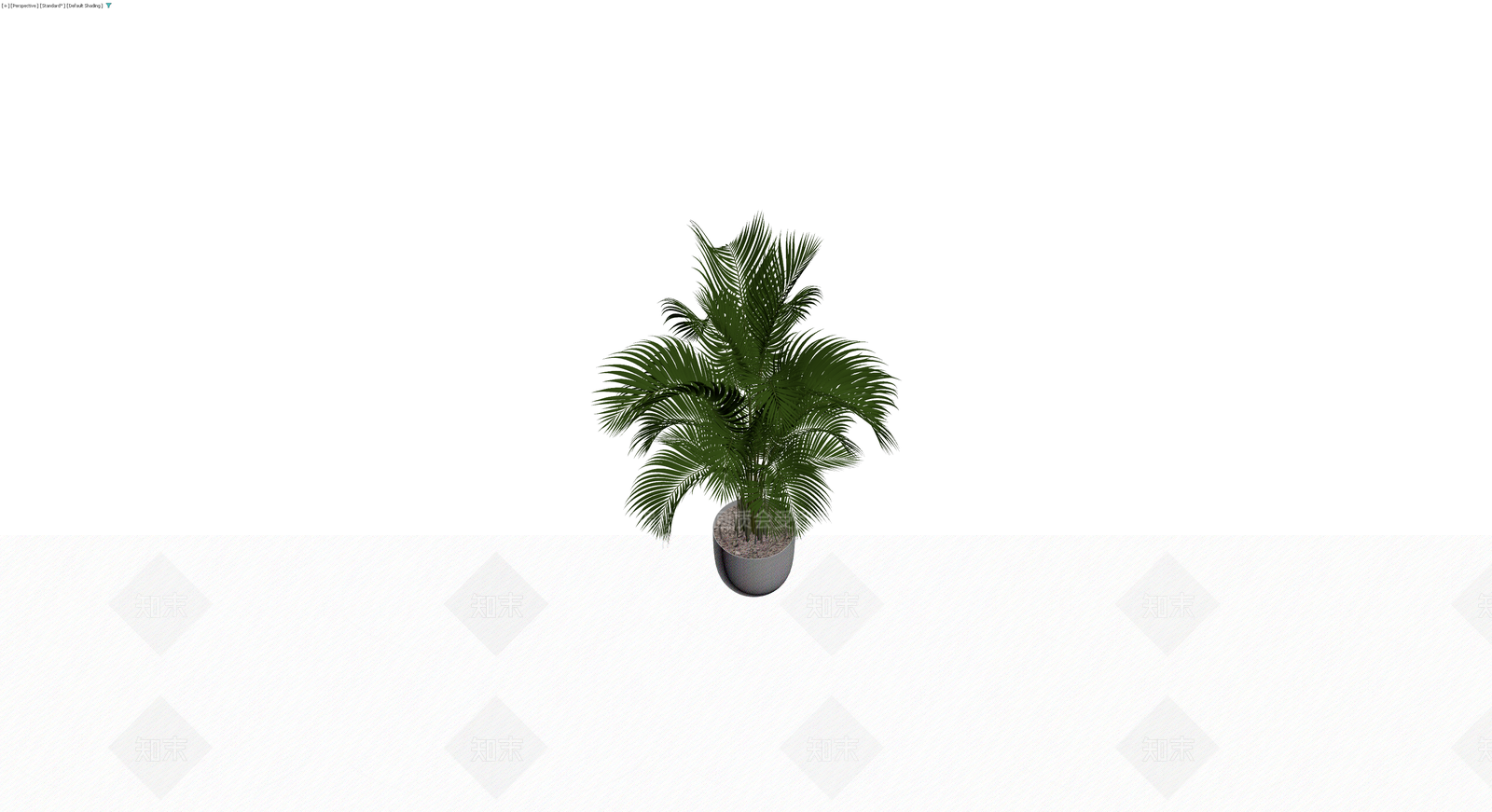 盆栽散尾葵植物3D模型下载【ID:1230461295】