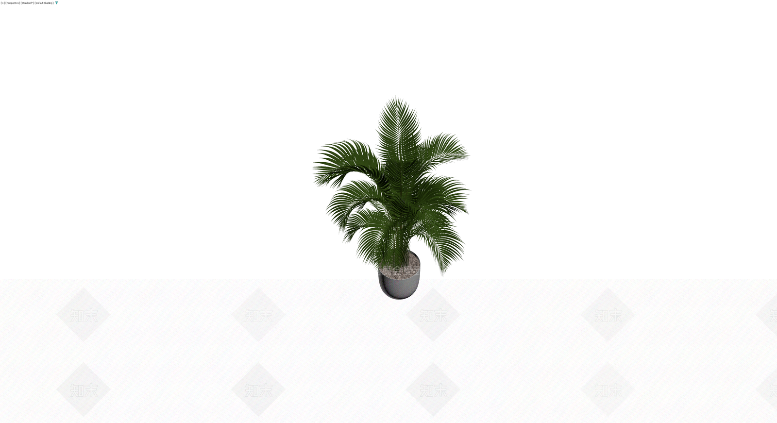 盆栽散尾葵植物3D模型下载【ID:1230461295】