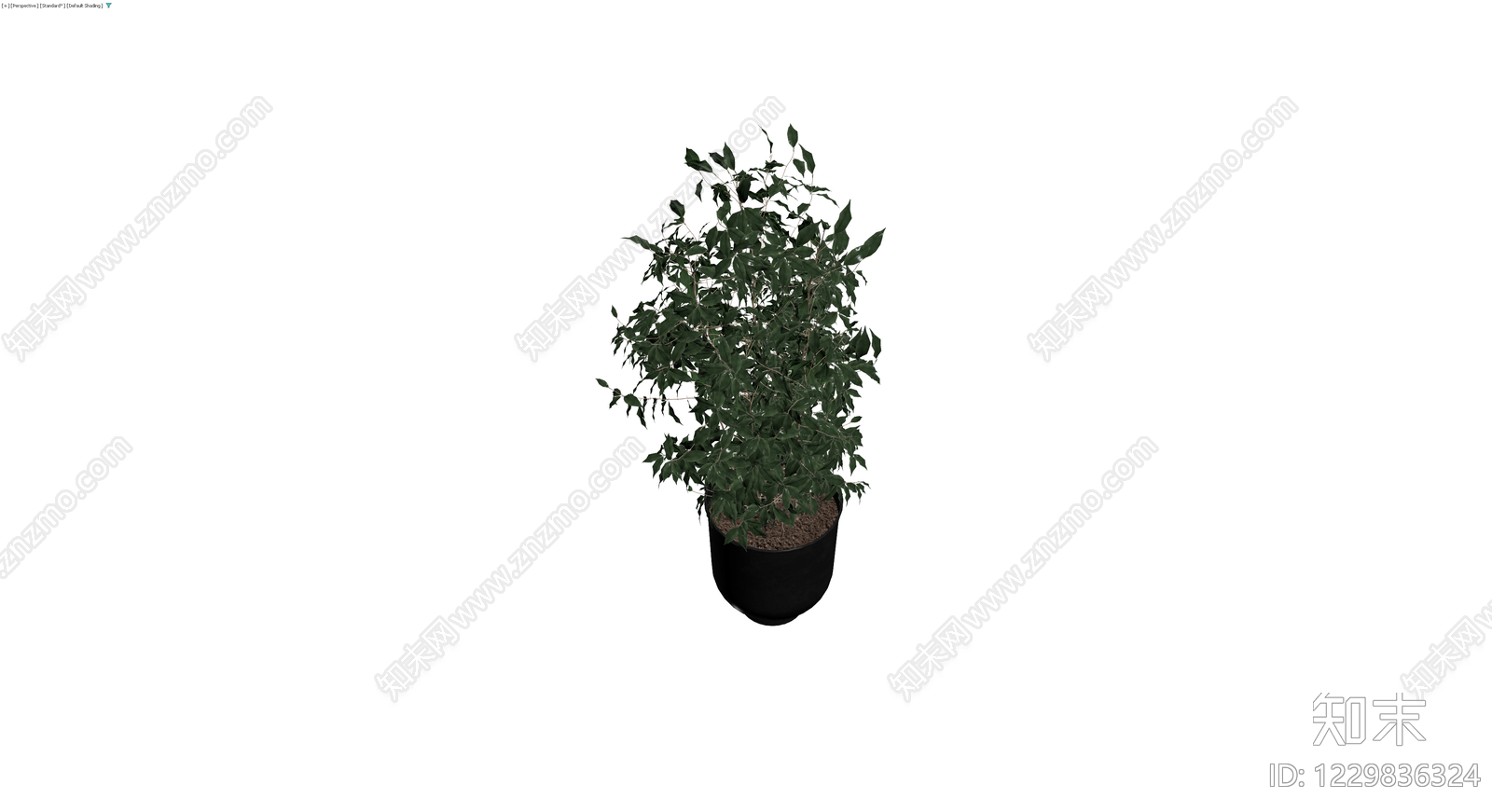 带盆绿植盆栽模型3D模型下载【ID:1229836324】