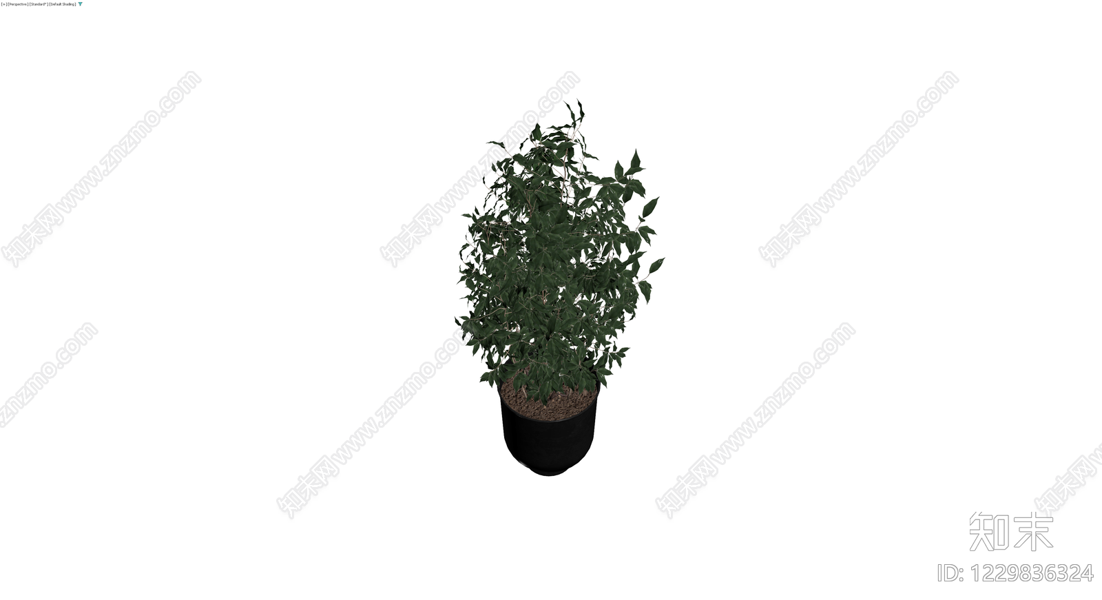 带盆绿植盆栽模型3D模型下载【ID:1229836324】
