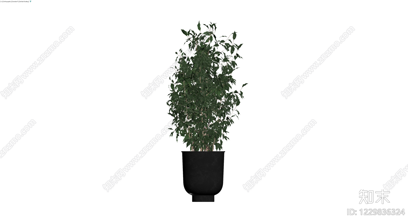 带盆绿植盆栽模型3D模型下载【ID:1229836324】