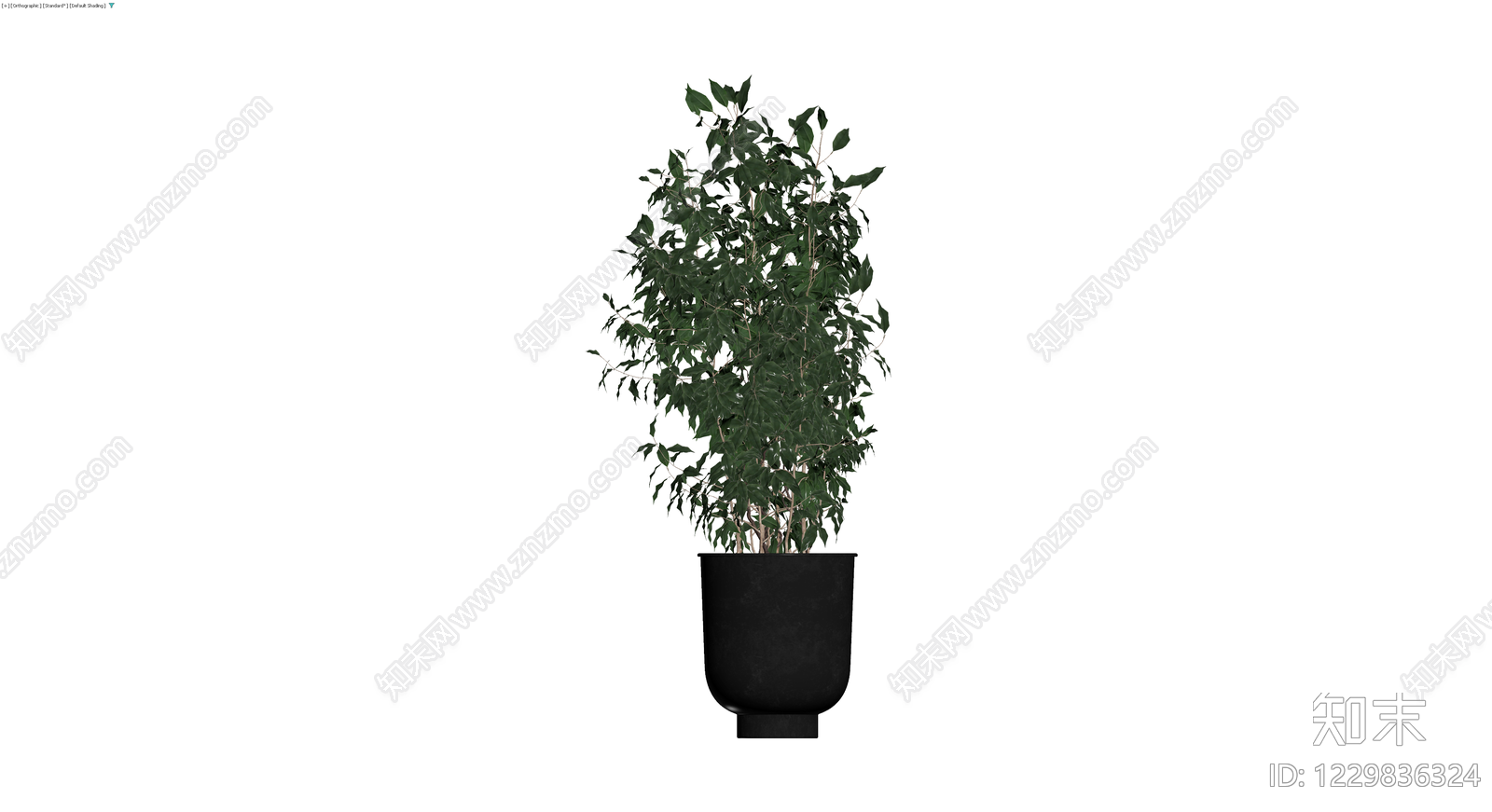 带盆绿植盆栽模型3D模型下载【ID:1229836324】