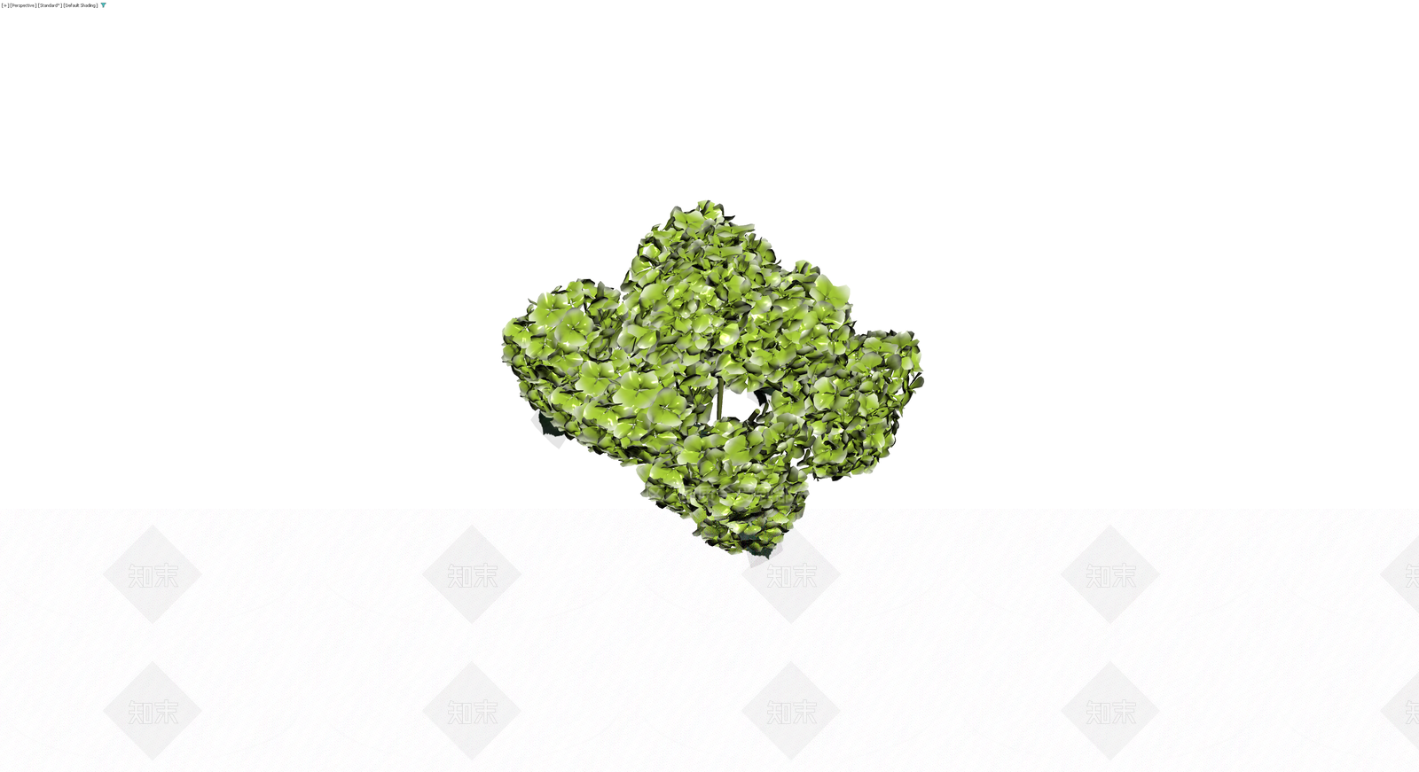 绿色绣球花束3D模型下载【ID:1230419695】