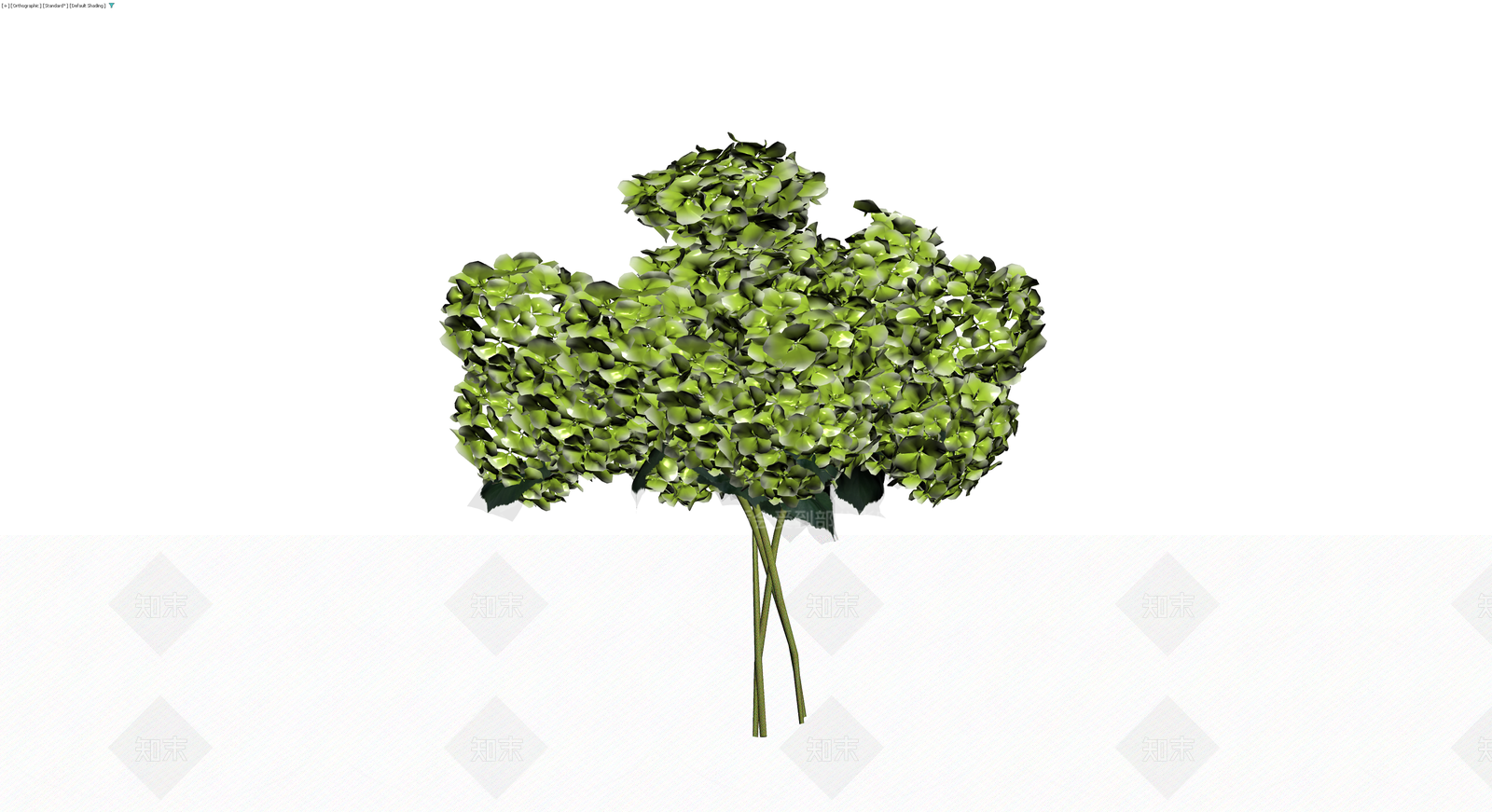 绿色绣球花束3D模型下载【ID:1230419695】
