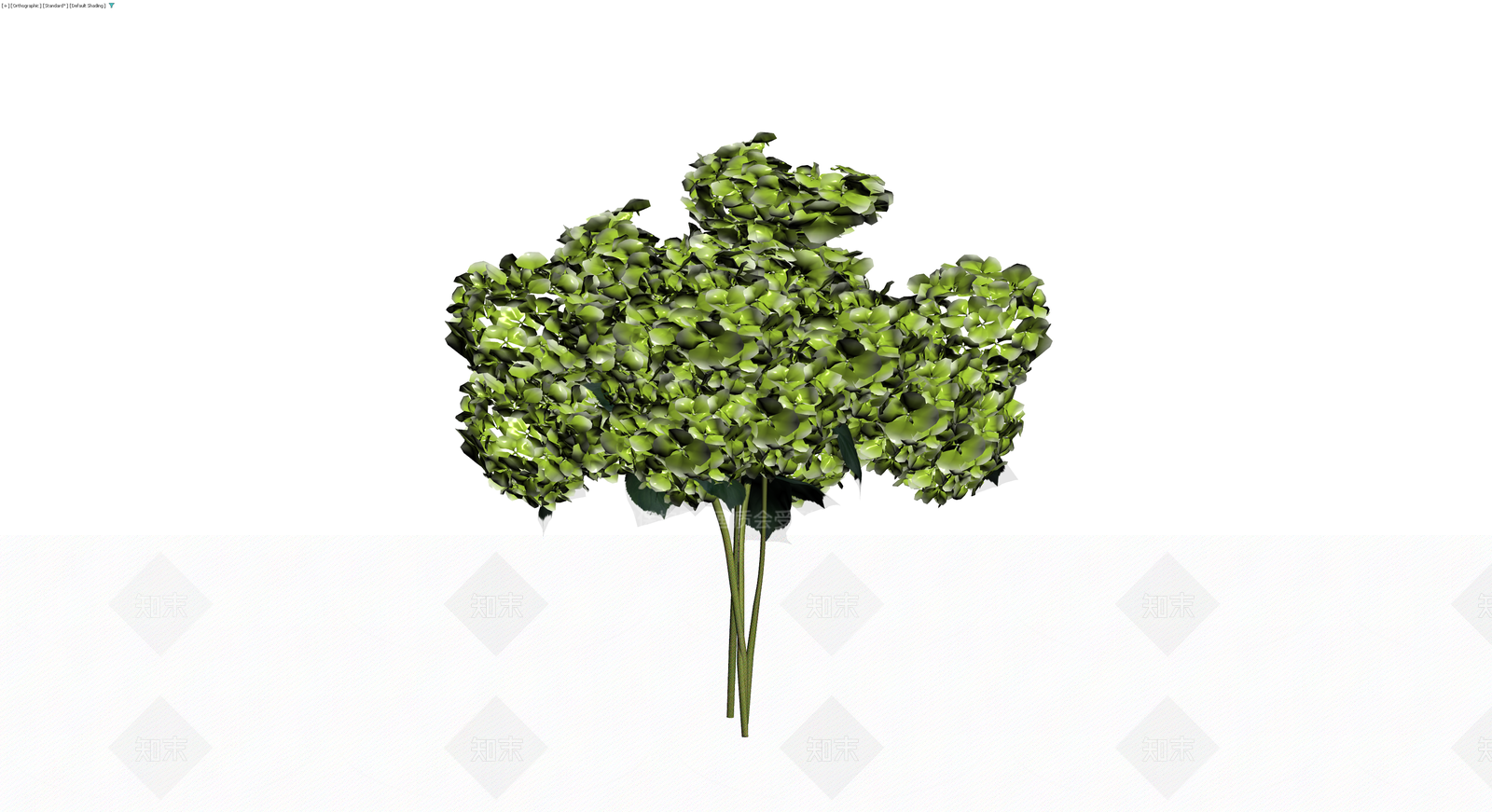 绿色绣球花束3D模型下载【ID:1230419695】