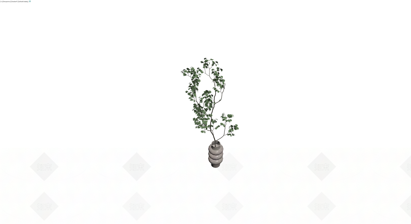 灰色花瓶配尤加利盆栽3D模型下载【ID:1230770890】