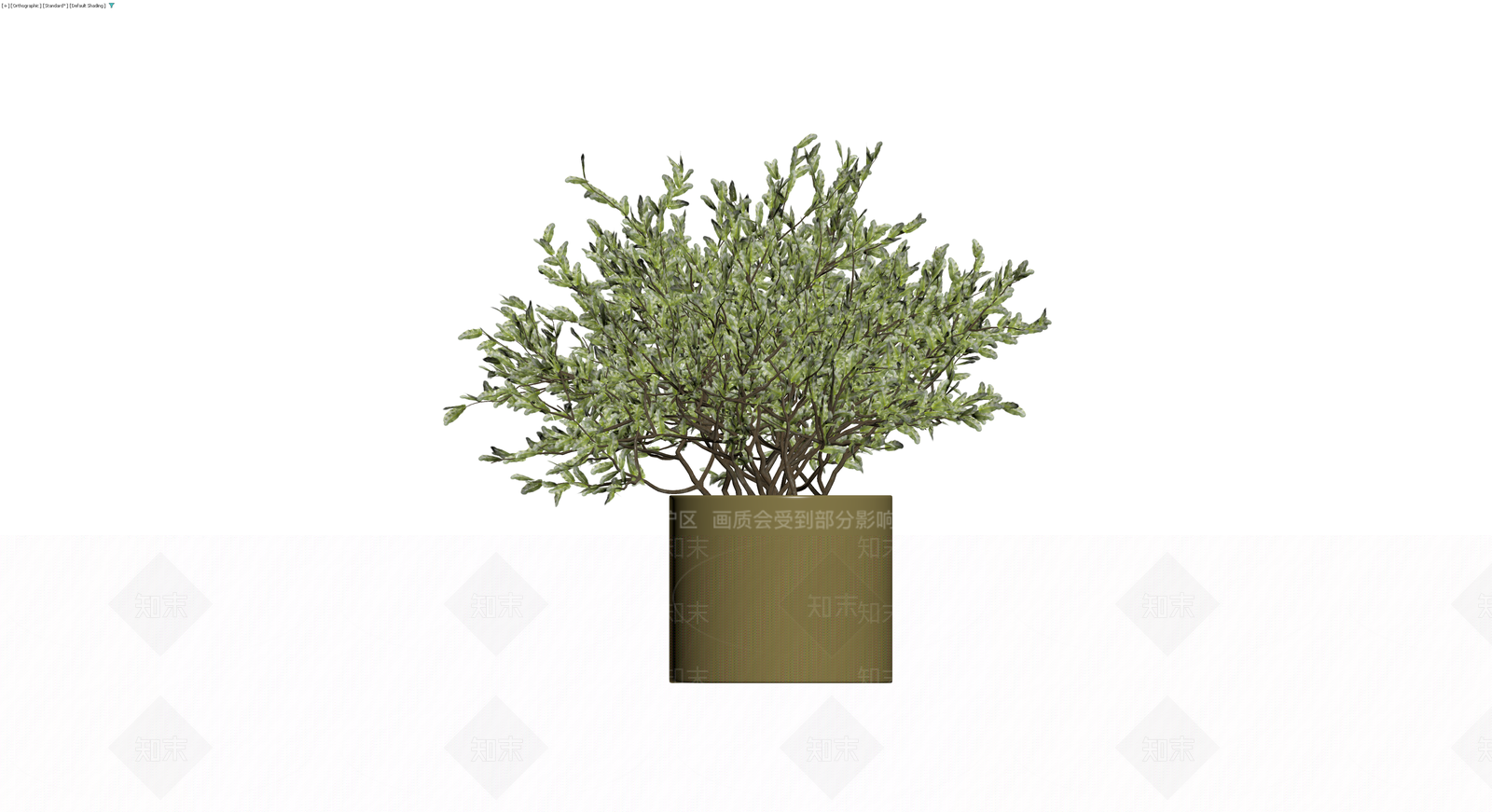 橄榄绿盆栽植物3D模型下载【ID:1229644323】