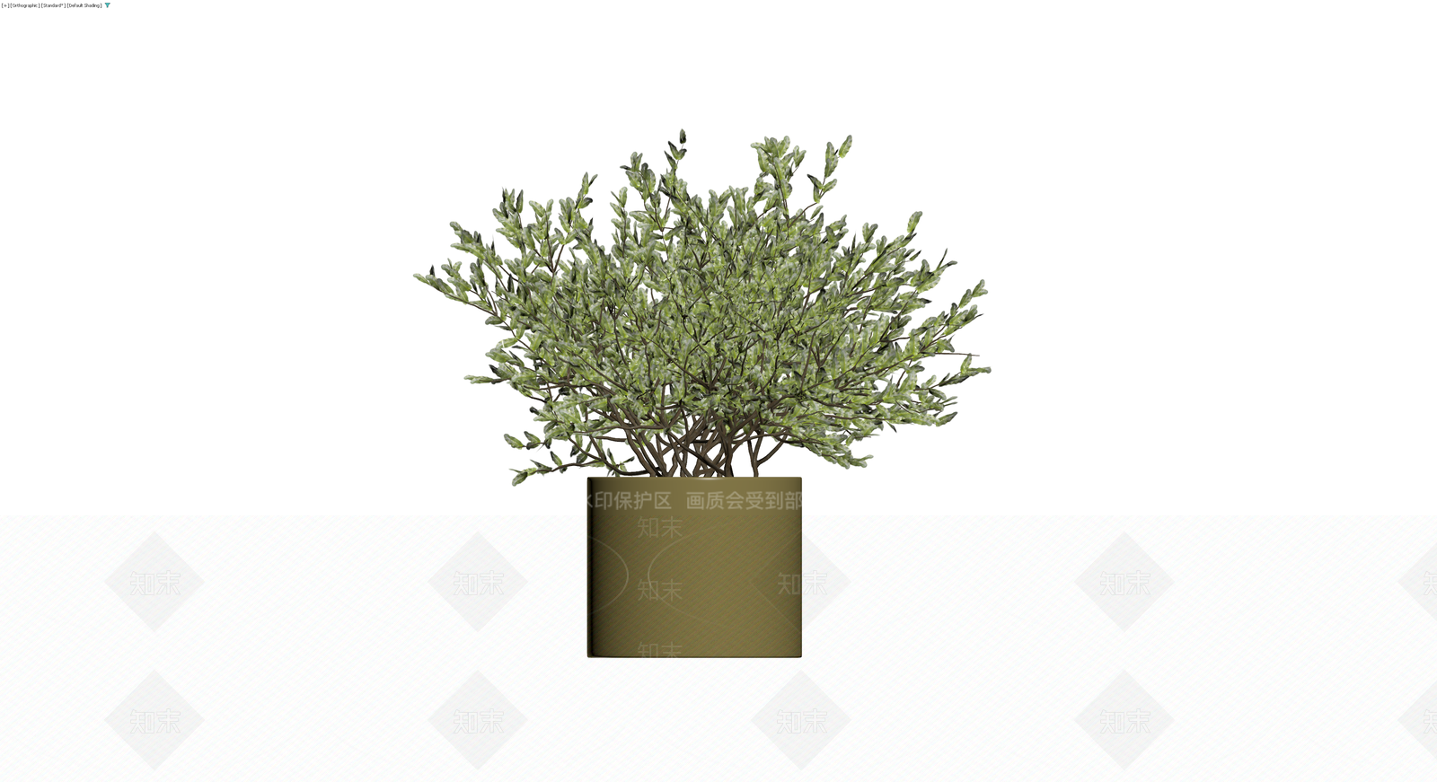 橄榄绿盆栽植物3D模型下载【ID:1229644323】