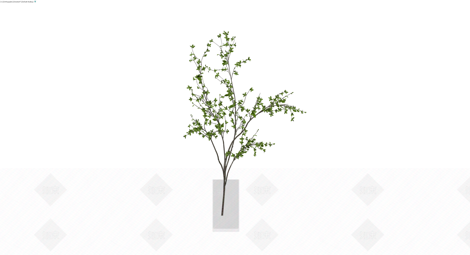 盆栽绿植模型3D模型下载【ID:1230326855】