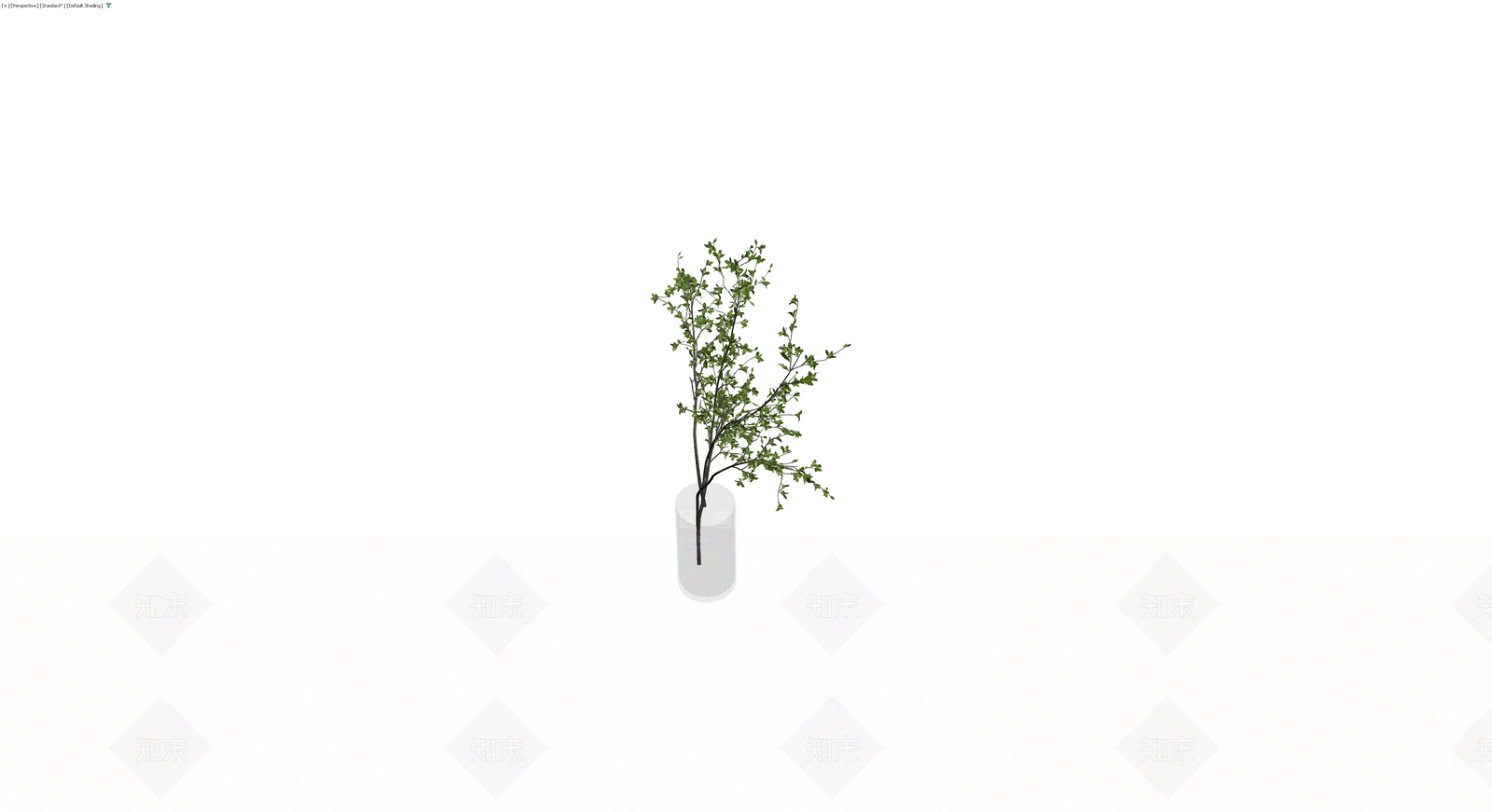 盆栽绿植模型3D模型下载【ID:1230326855】