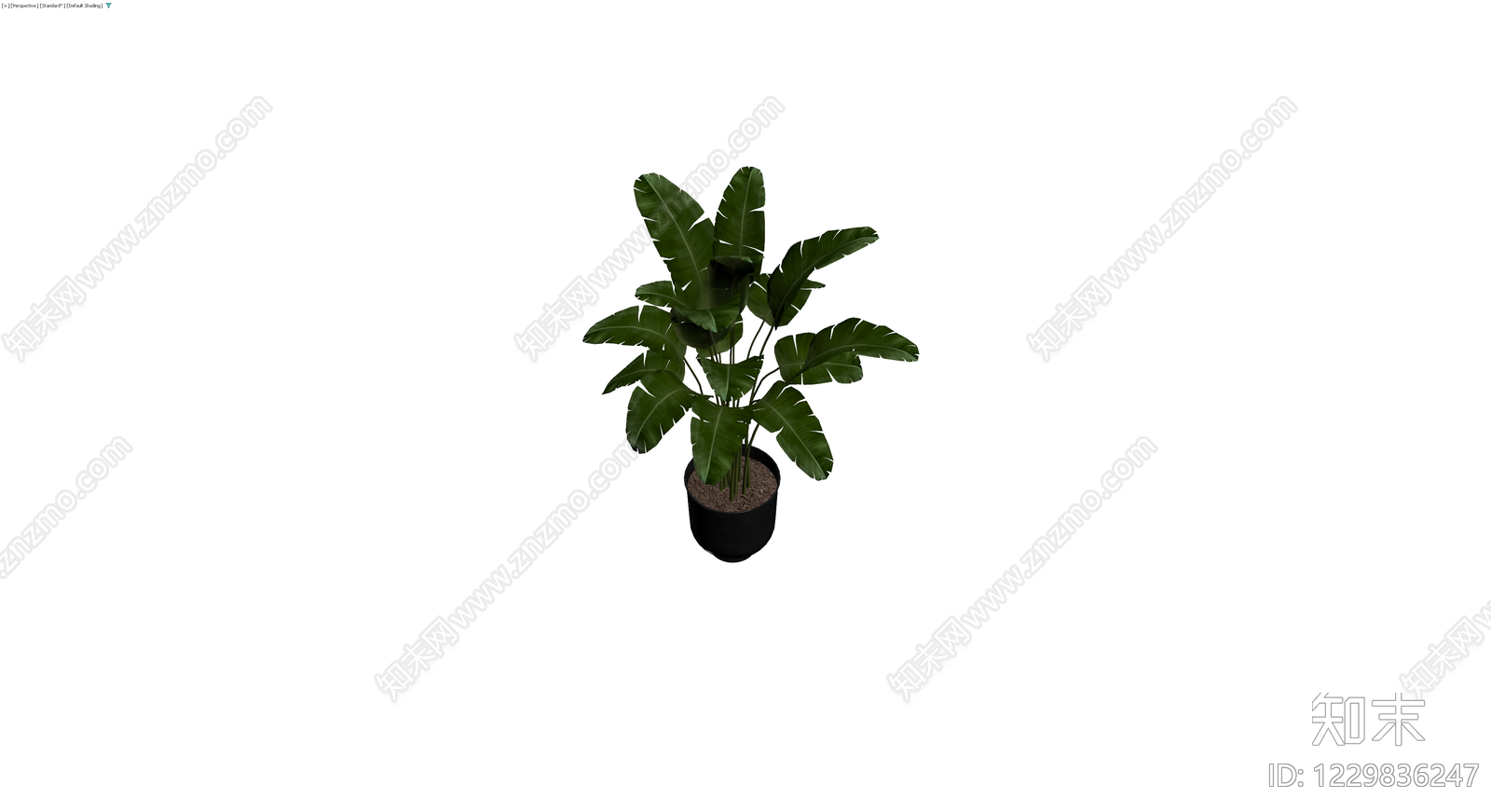带盆绿植盆栽3D模型下载【ID:1229836247】