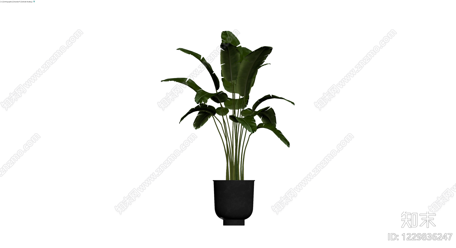 带盆绿植盆栽3D模型下载【ID:1229836247】