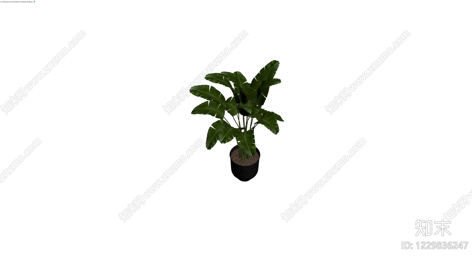 带盆绿植盆栽3D模型下载【ID:1229836247】