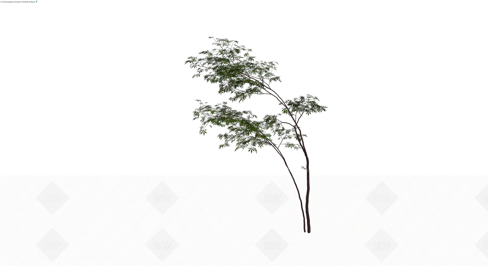 双杆景观乔木模型3D模型下载【ID:1230102864】