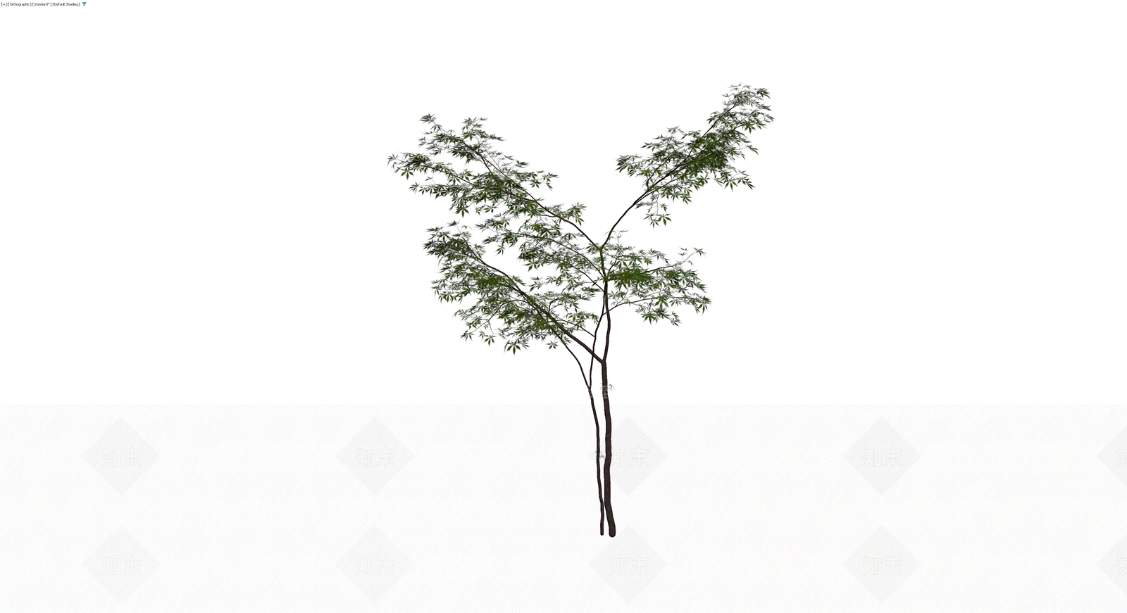 双杆景观乔木模型3D模型下载【ID:1230102864】