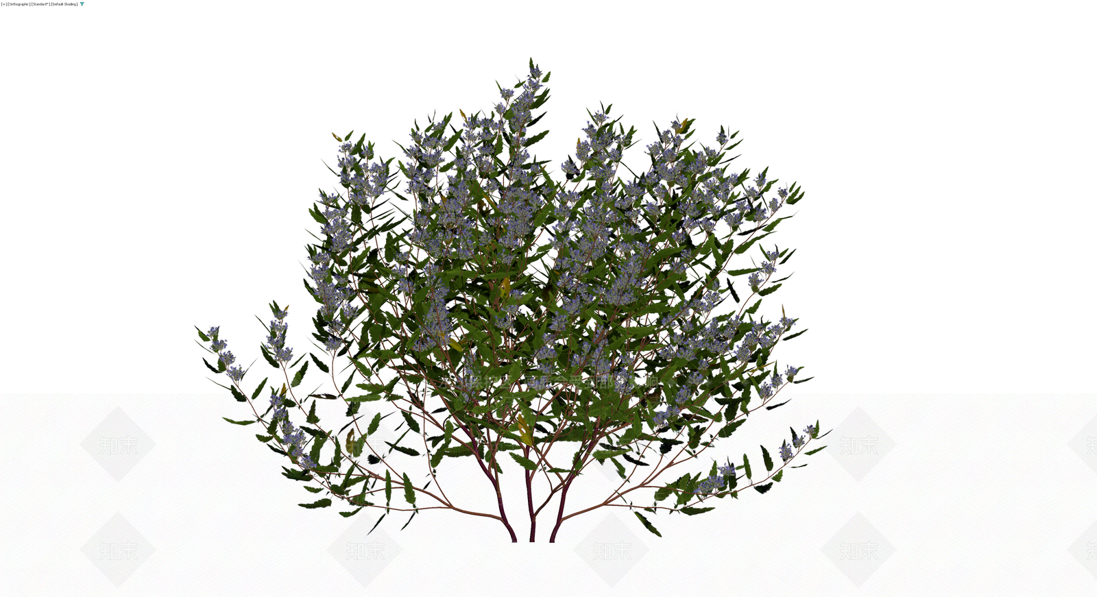 蓝花灌木植物模型3D模型下载【ID:1230147167】