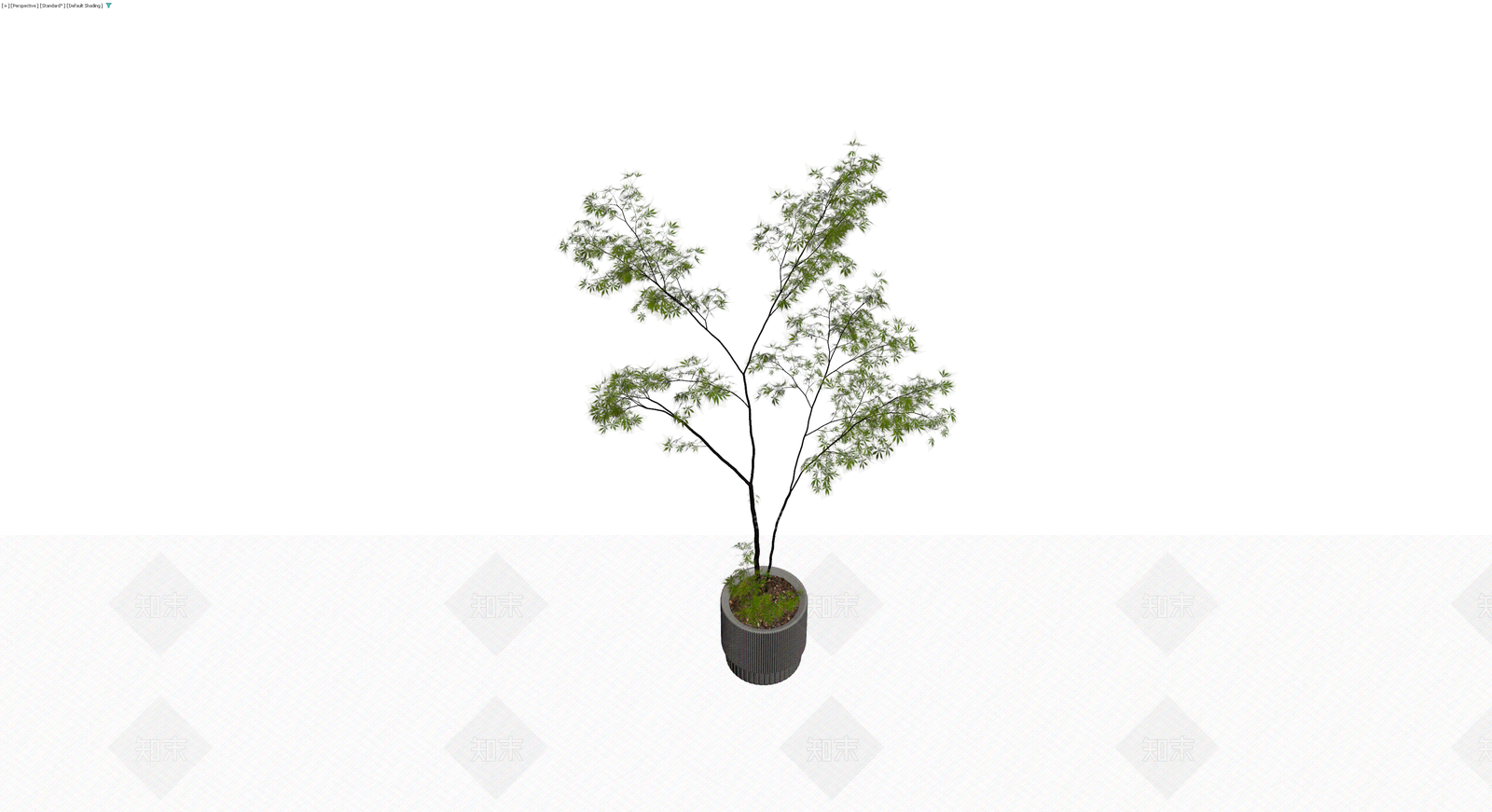 盆栽绿植（带盆）3D模型下载【ID:1230788541】