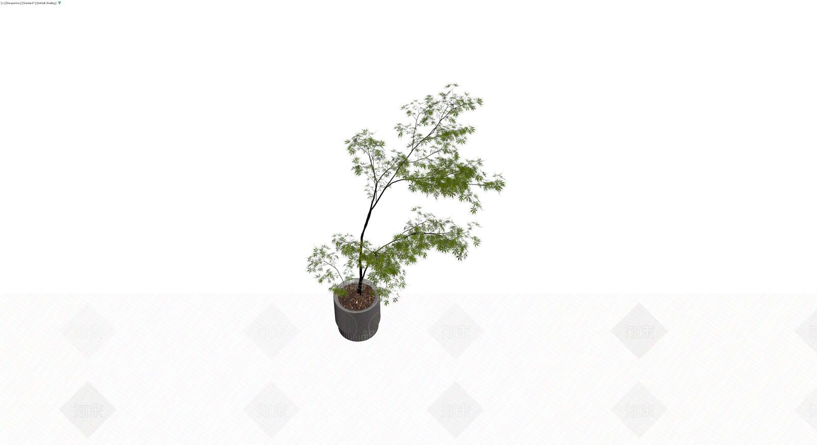 盆栽绿植（带盆）3D模型下载【ID:1230788541】