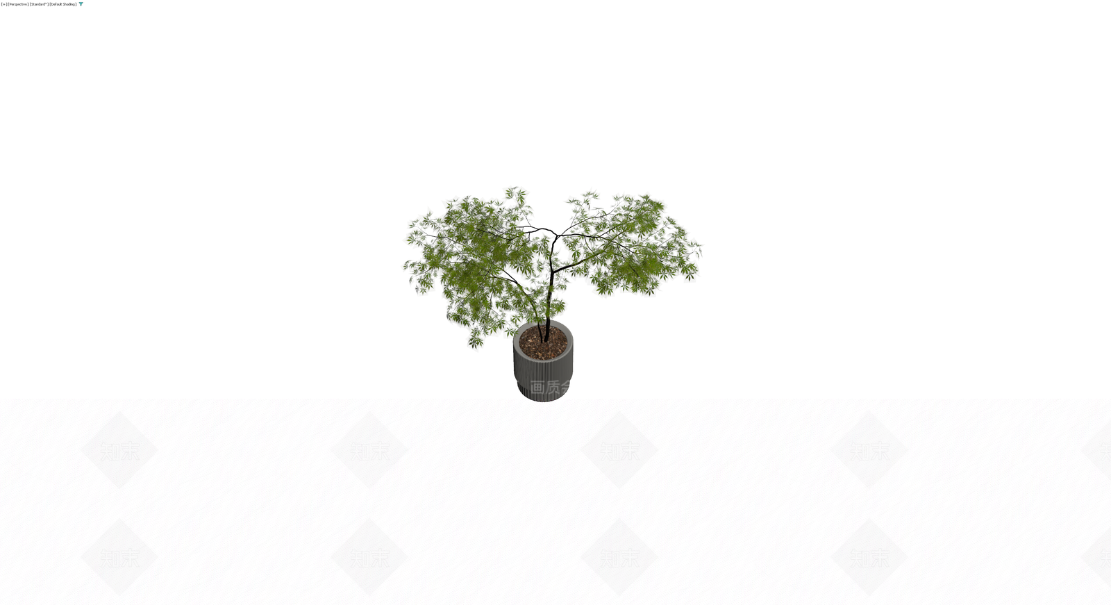 盆栽绿植（带盆）3D模型下载【ID:1230788541】