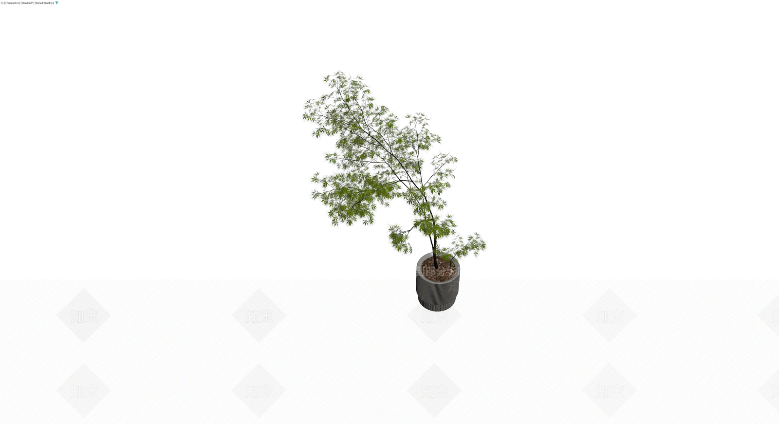 盆栽绿植（带盆）3D模型下载【ID:1230788541】