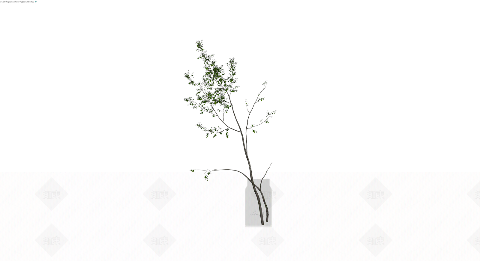 带瓶绿植植物组合3D模型下载【ID:1230422643】