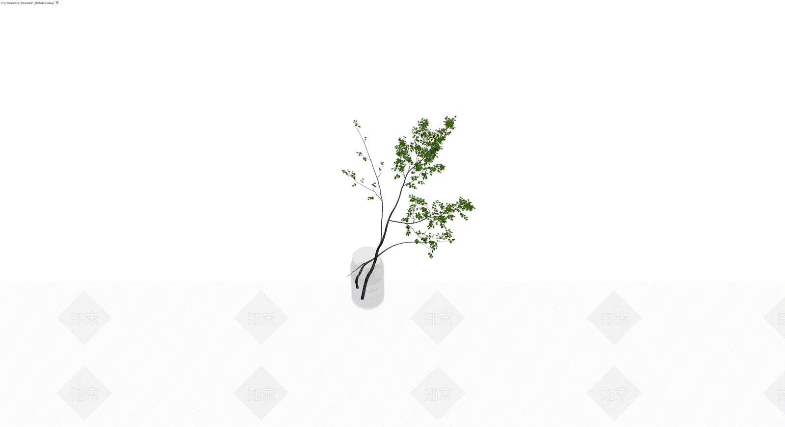 带瓶插花植物组合3D模型下载【ID:1229616321】