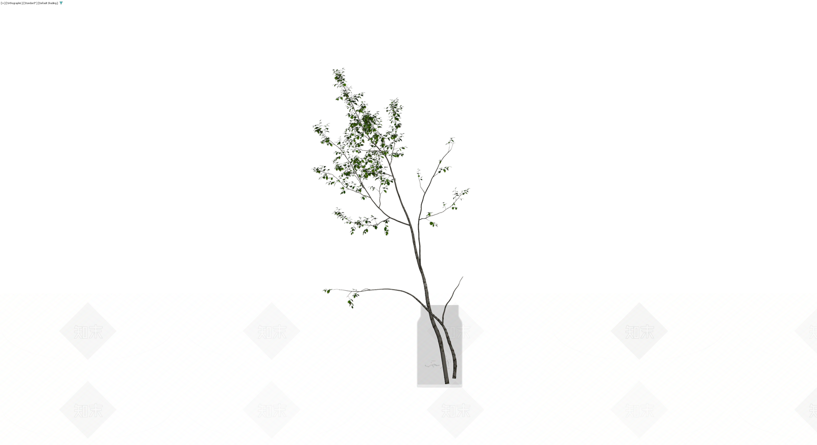 带瓶插花植物组合3D模型下载【ID:1229616321】