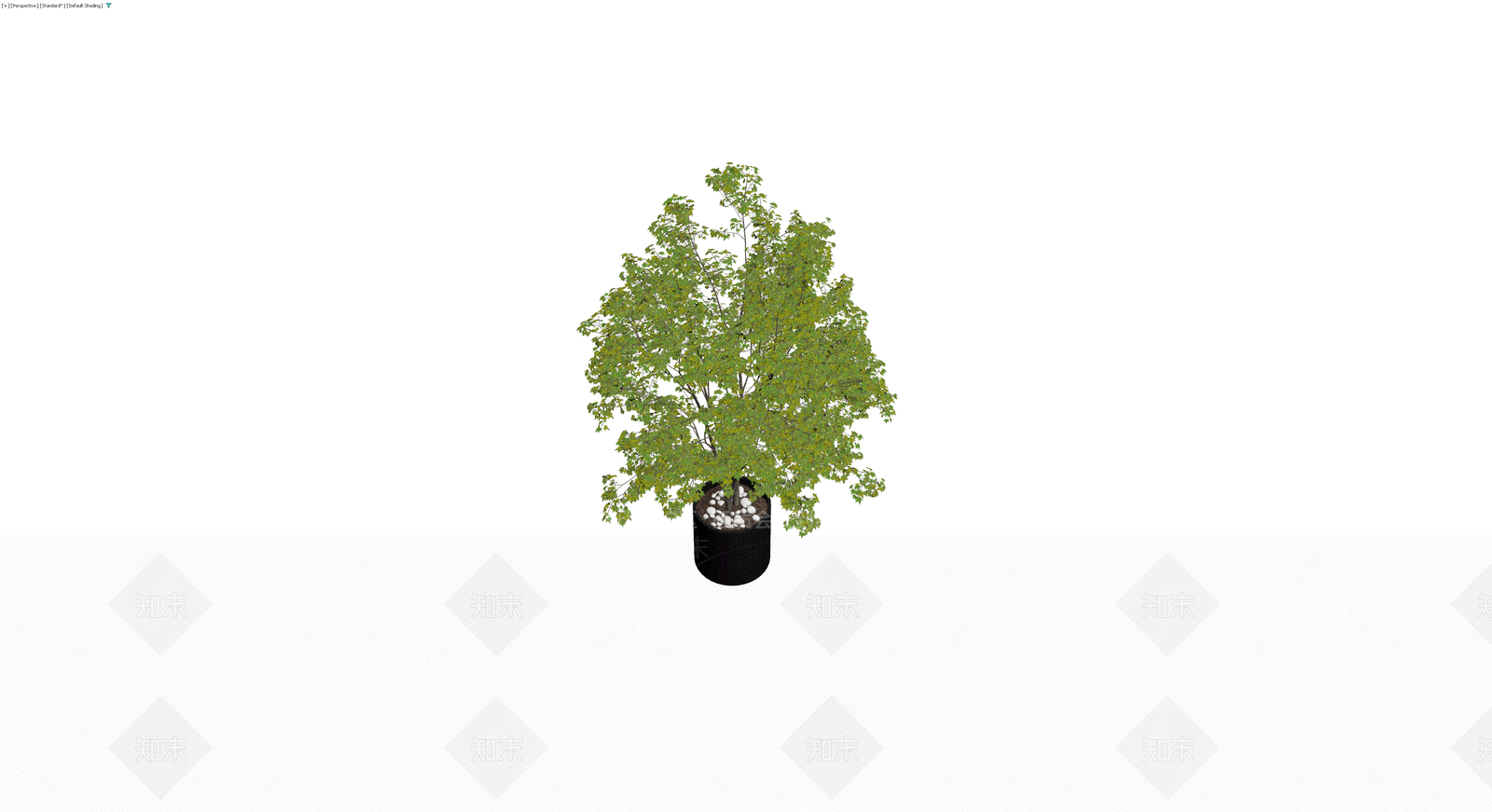 带盆盆栽绿植3D模型下载【ID:1230586277】