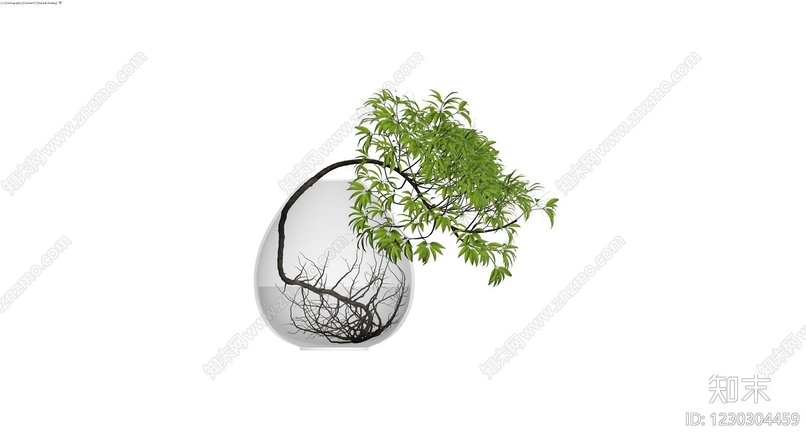 透明球形水培盆栽3D模型下载【ID:1230304459】