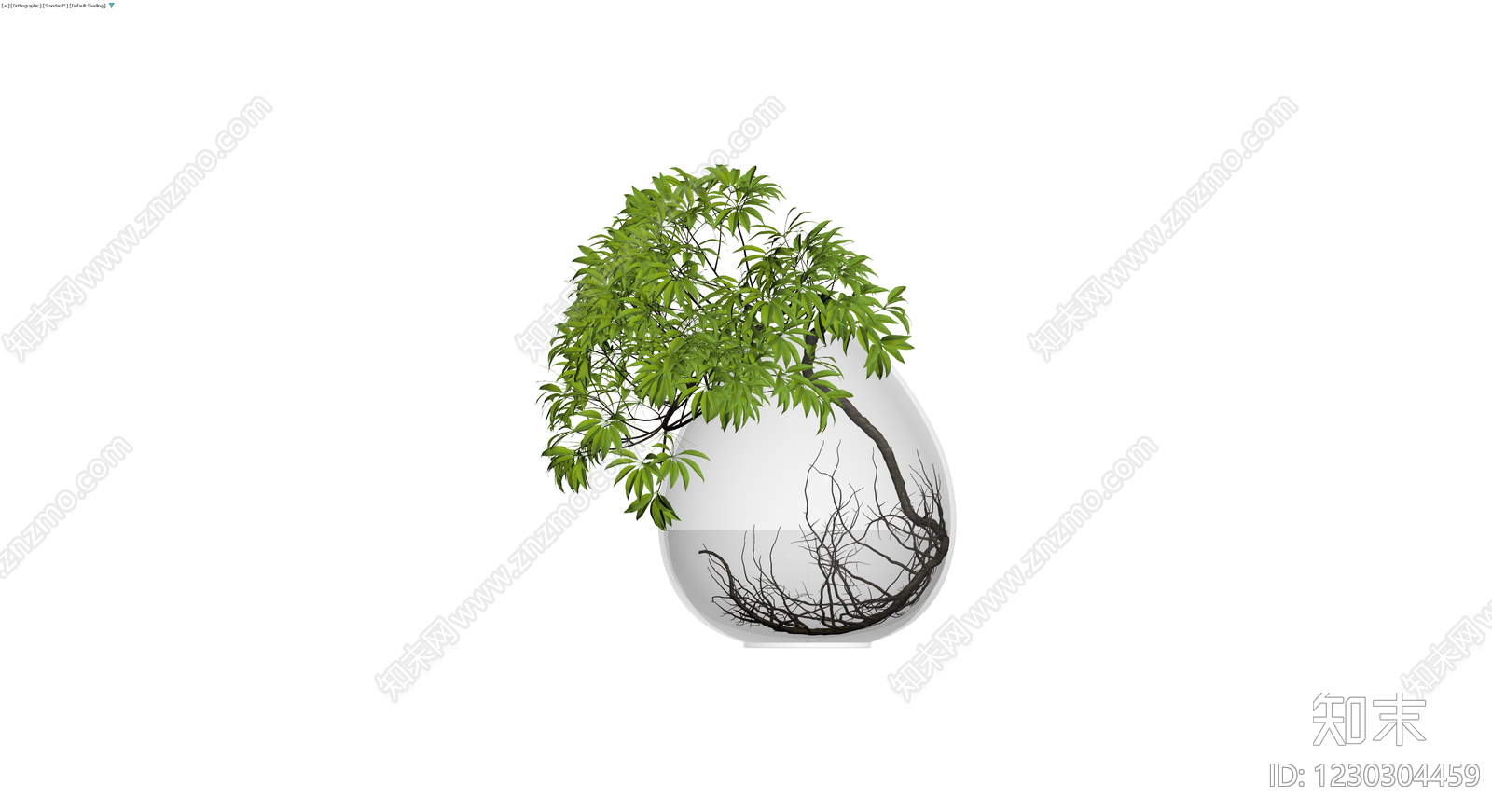 透明球形水培盆栽3D模型下载【ID:1230304459】