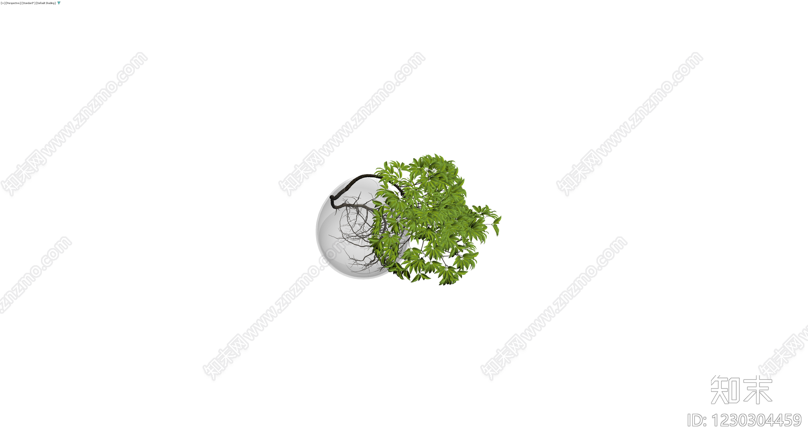 透明球形水培盆栽3D模型下载【ID:1230304459】