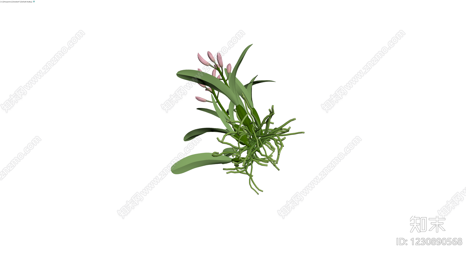 粉色兰花盆栽模型3D模型下载【ID:1230890568】