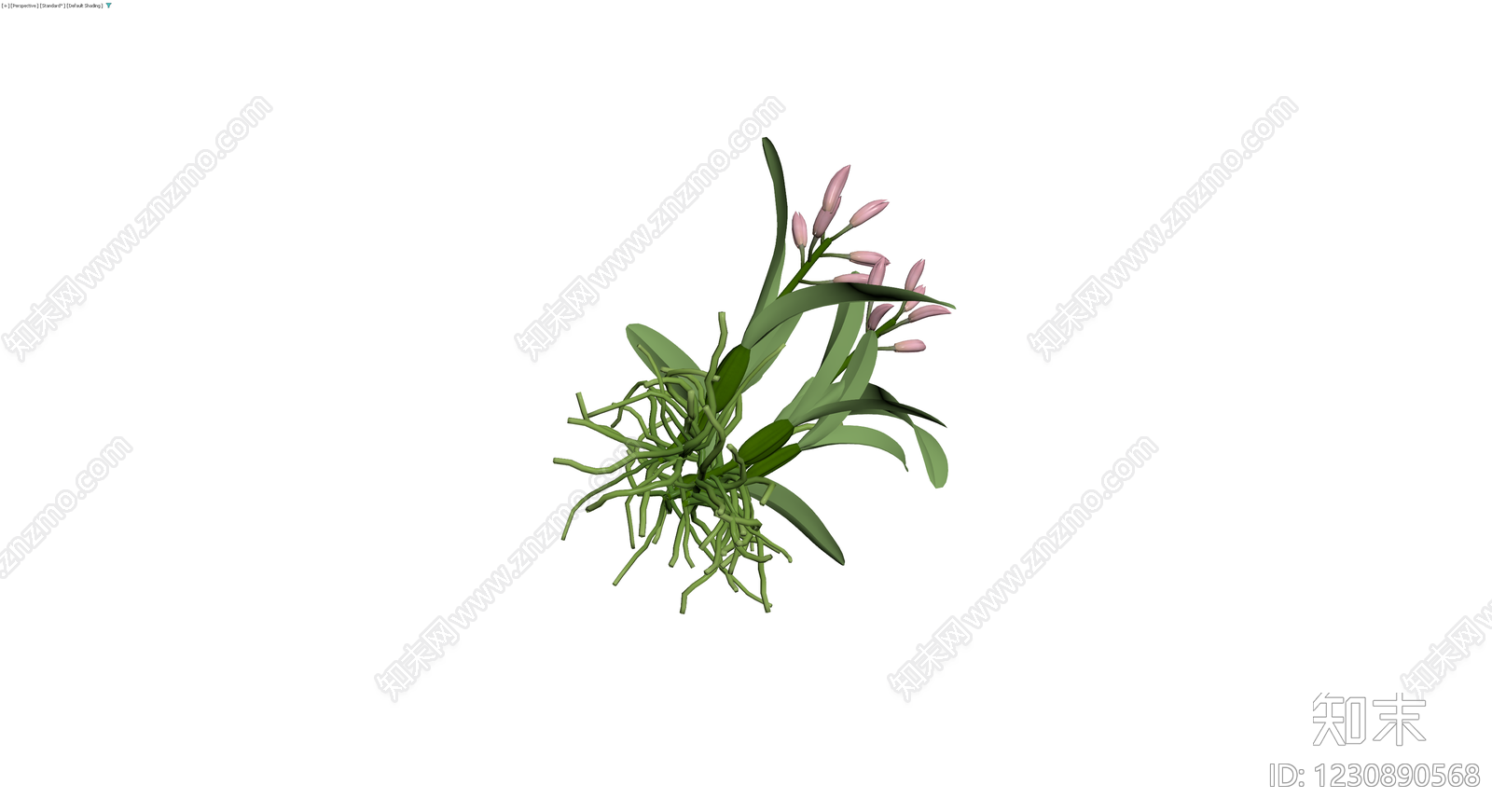 粉色兰花盆栽模型3D模型下载【ID:1230890568】