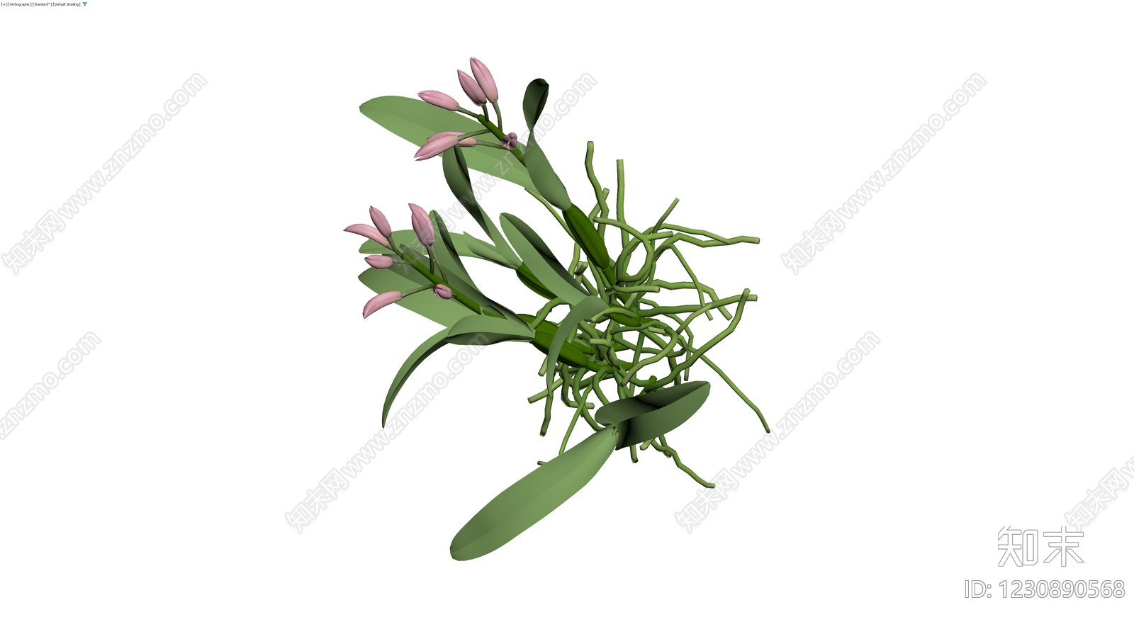粉色兰花盆栽模型3D模型下载【ID:1230890568】