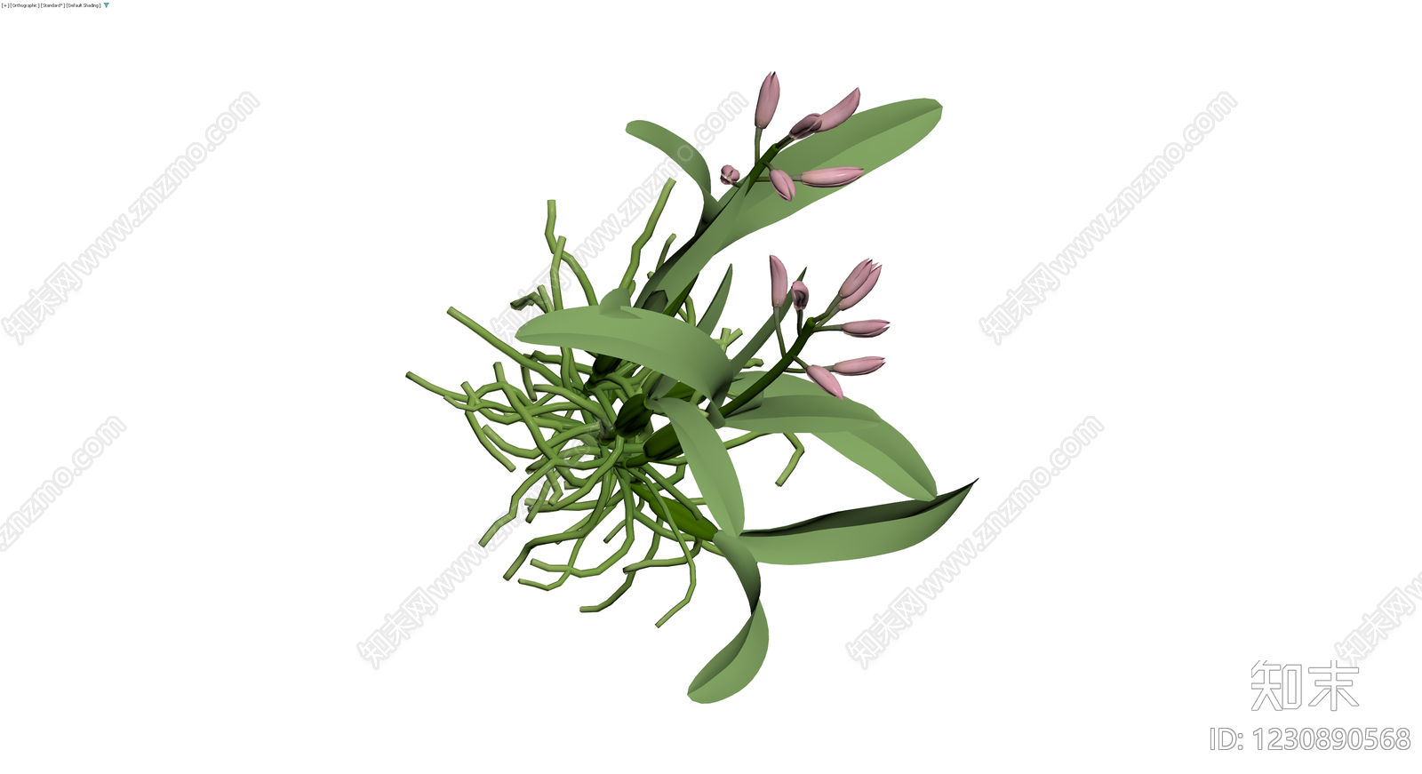 粉色兰花盆栽模型3D模型下载【ID:1230890568】