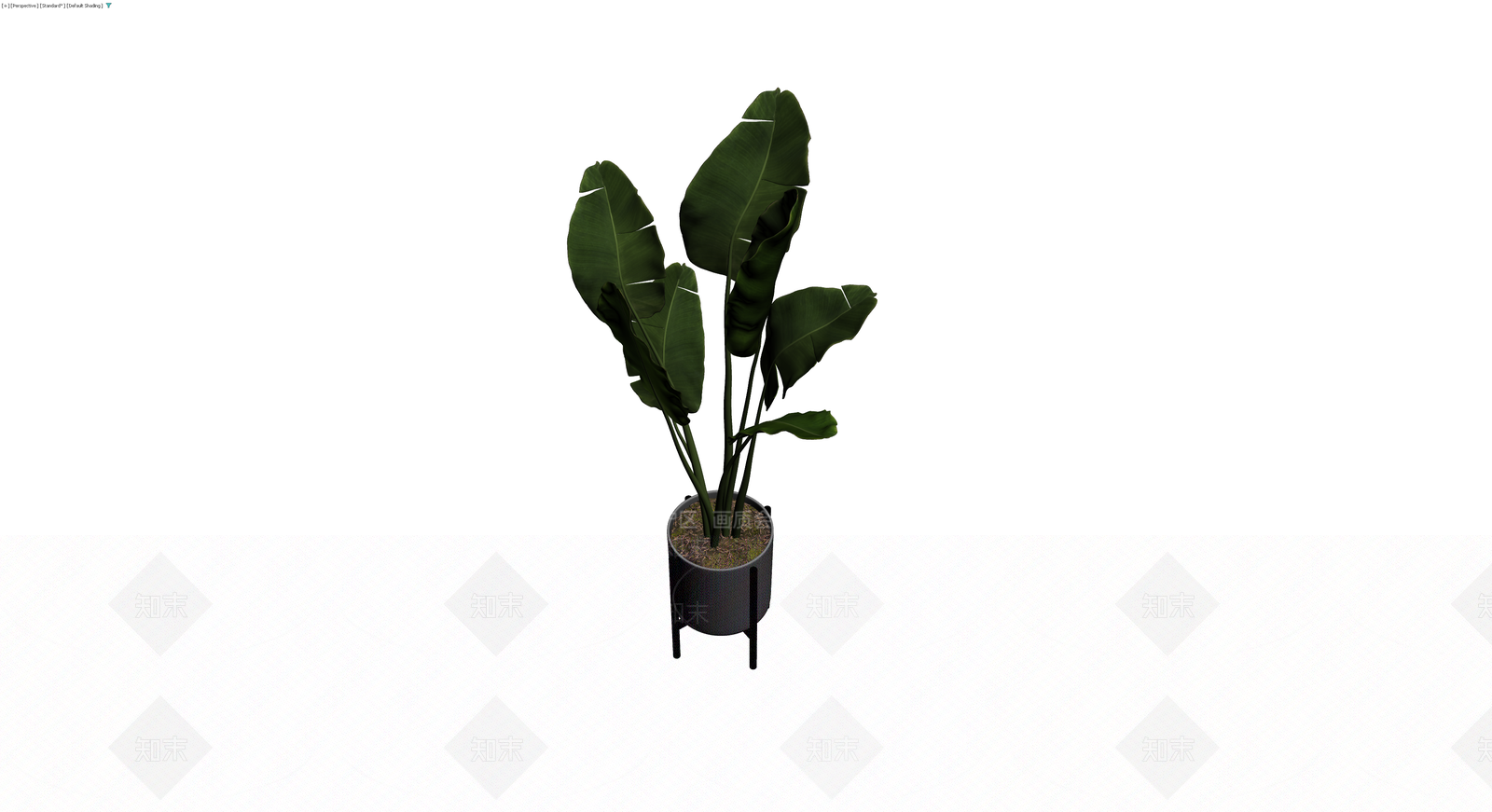 盆栽植物带架3D模型下载【ID:1230733188】
