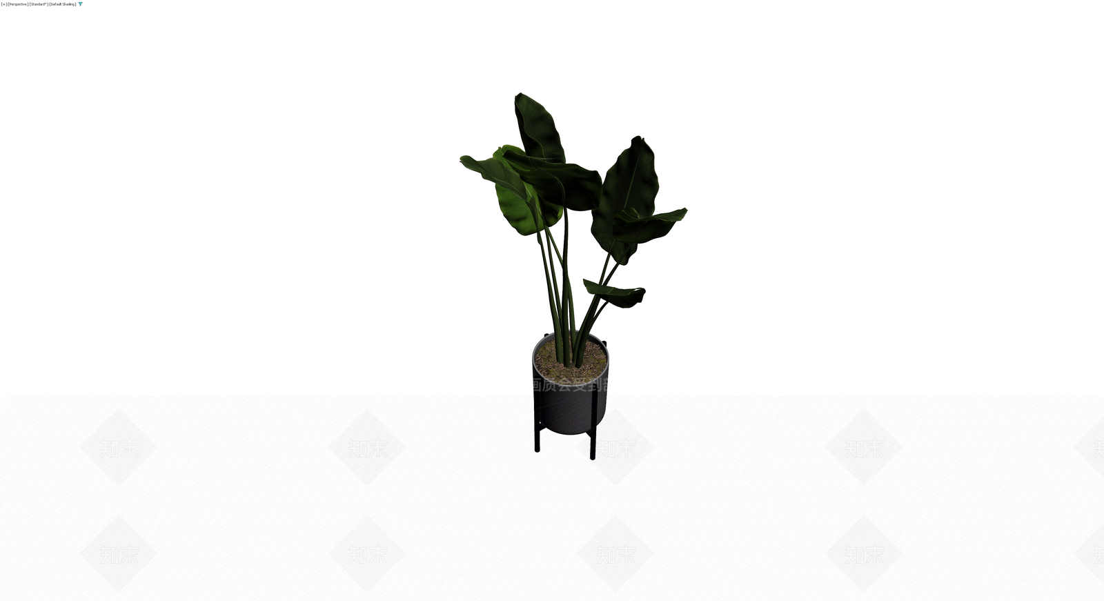 盆栽植物带架3D模型下载【ID:1230733188】