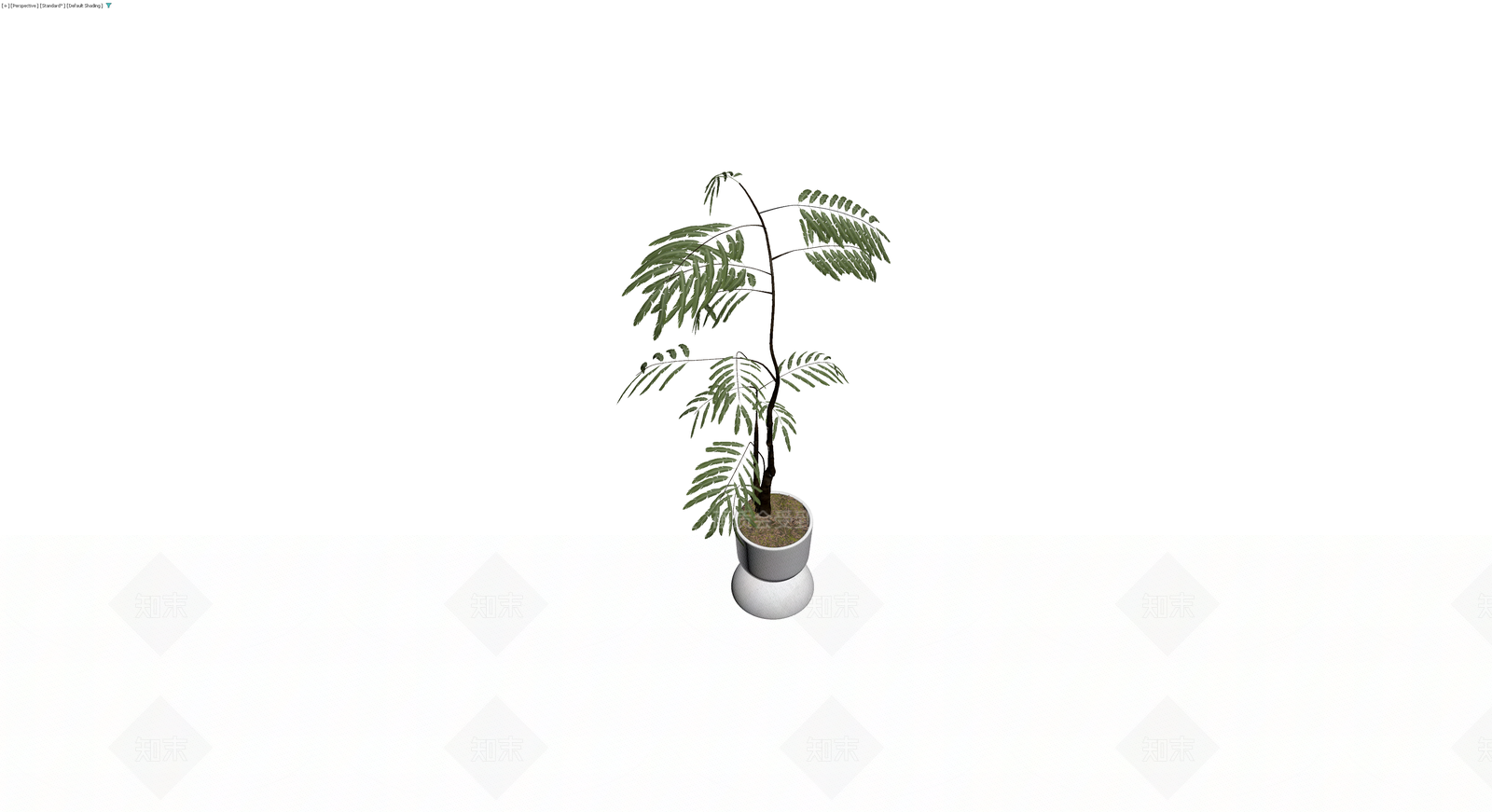 白色花盆栽植植物3D模型下载【ID:1230681453】