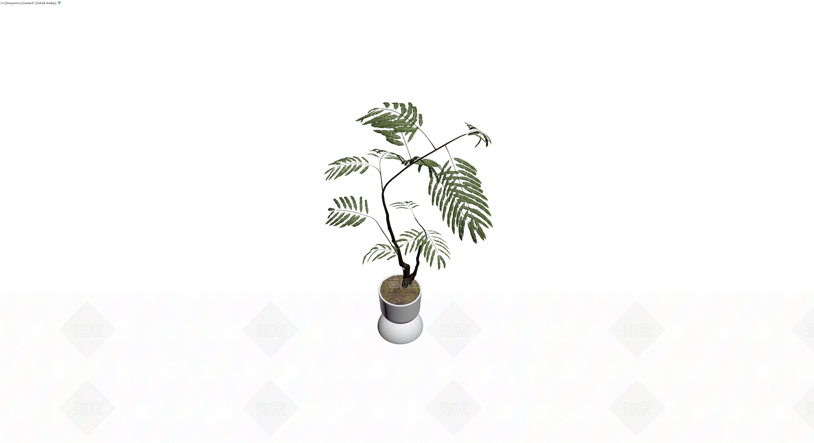 白色花盆栽植植物3D模型下载【ID:1230681453】