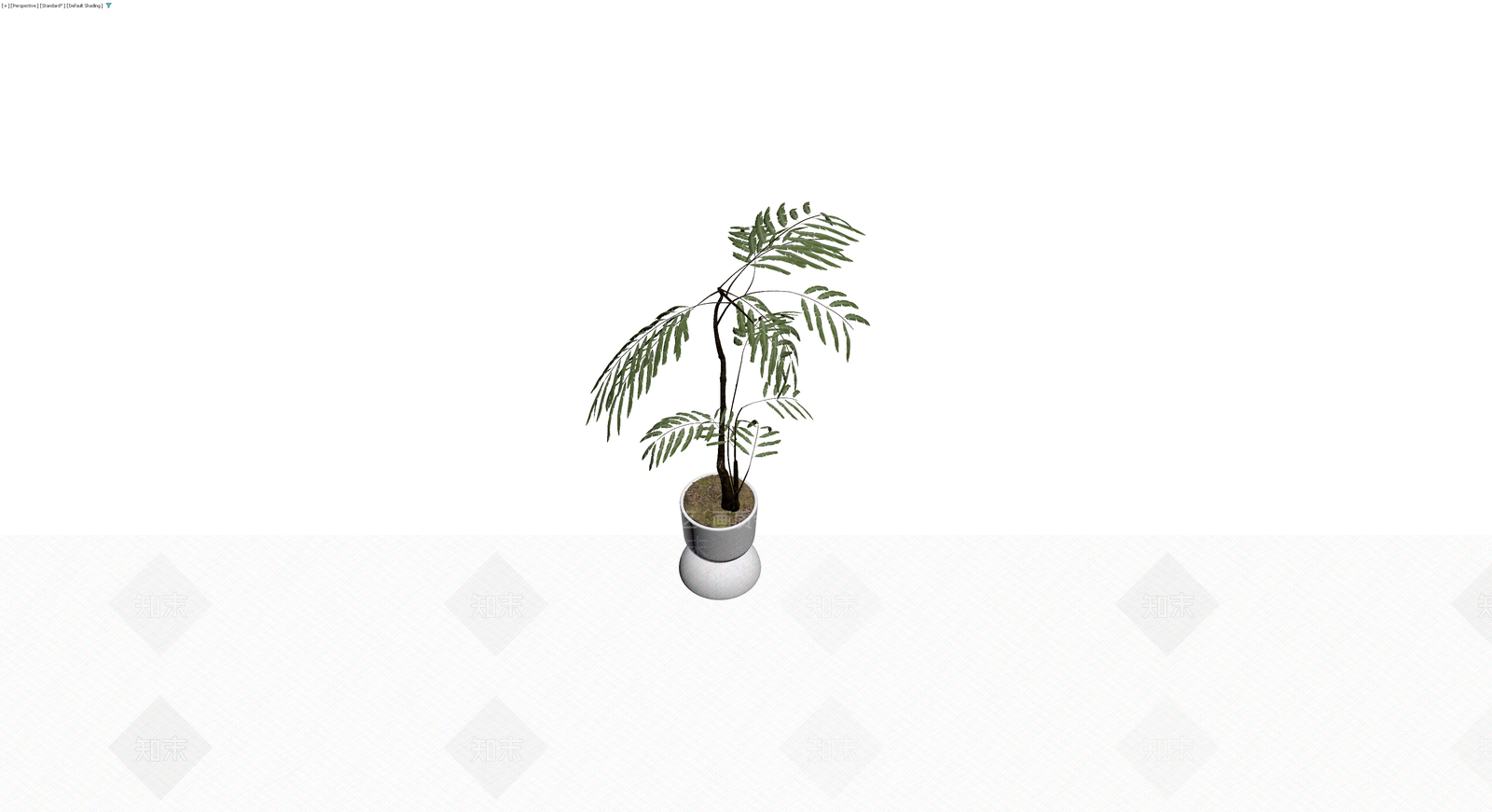 白色花盆栽植植物3D模型下载【ID:1230681453】
