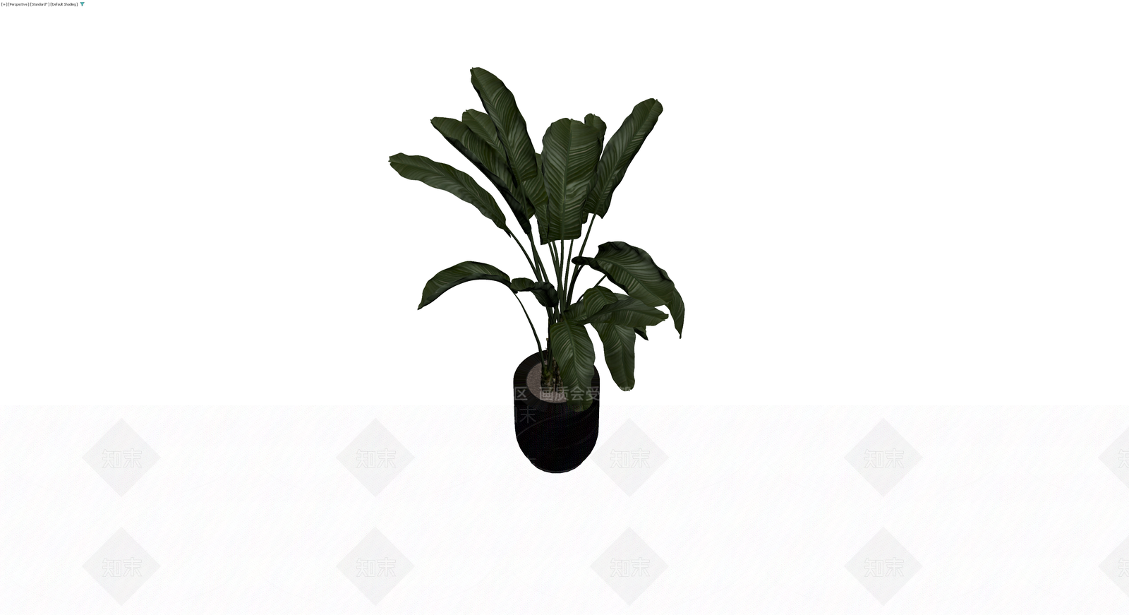 黑色花盆盆栽植物3D模型下载【ID:1230152866】