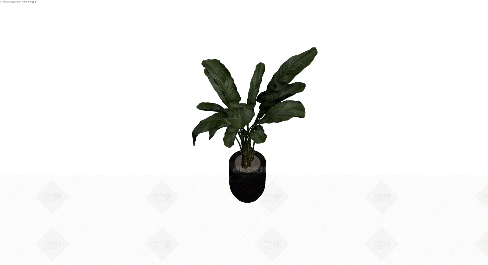 黑色花盆盆栽植物3D模型下载【ID:1230152866】