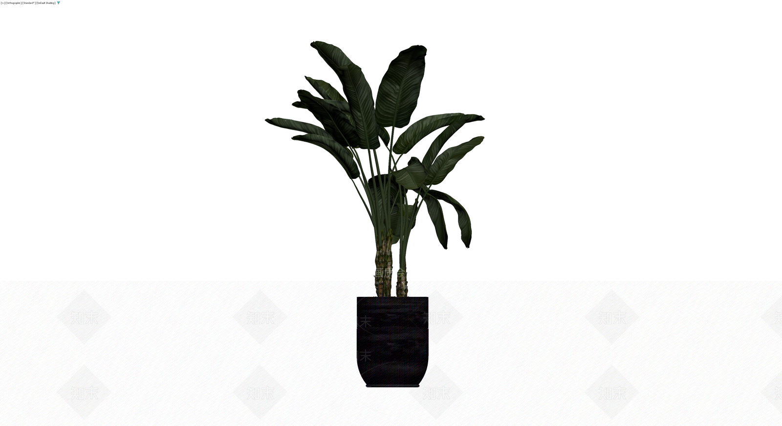 黑色花盆盆栽植物3D模型下载【ID:1230152866】