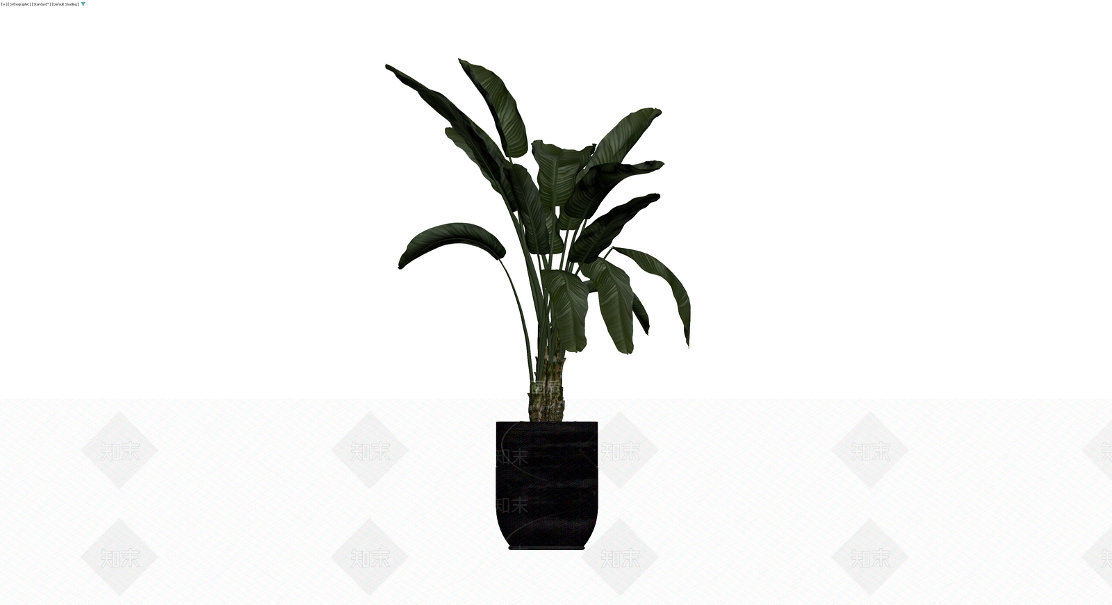 黑色花盆盆栽植物3D模型下载【ID:1230152866】