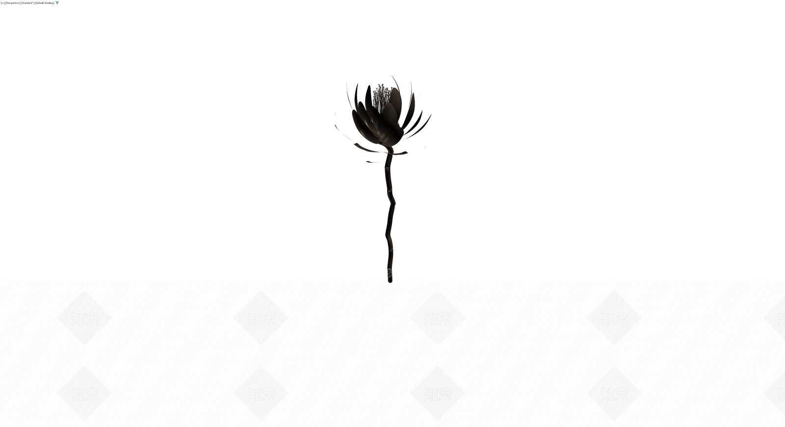 黑色单支花朵植物3D模型下载【ID:1230327839】