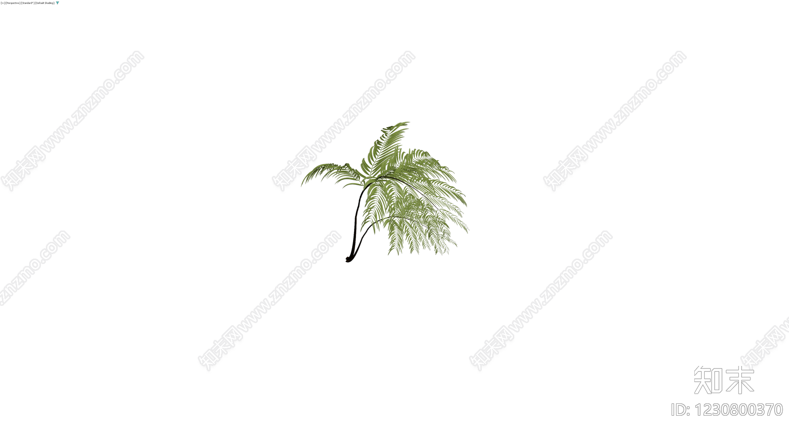 绿色蕨类植物模型3D模型下载【ID:1230800370】
