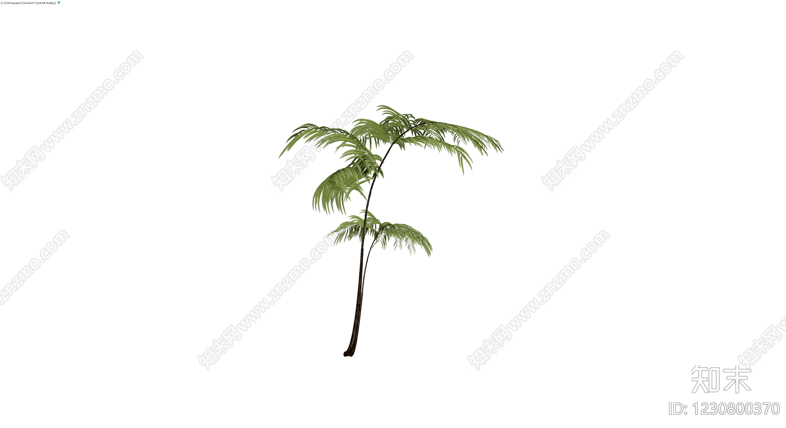 绿色蕨类植物模型3D模型下载【ID:1230800370】