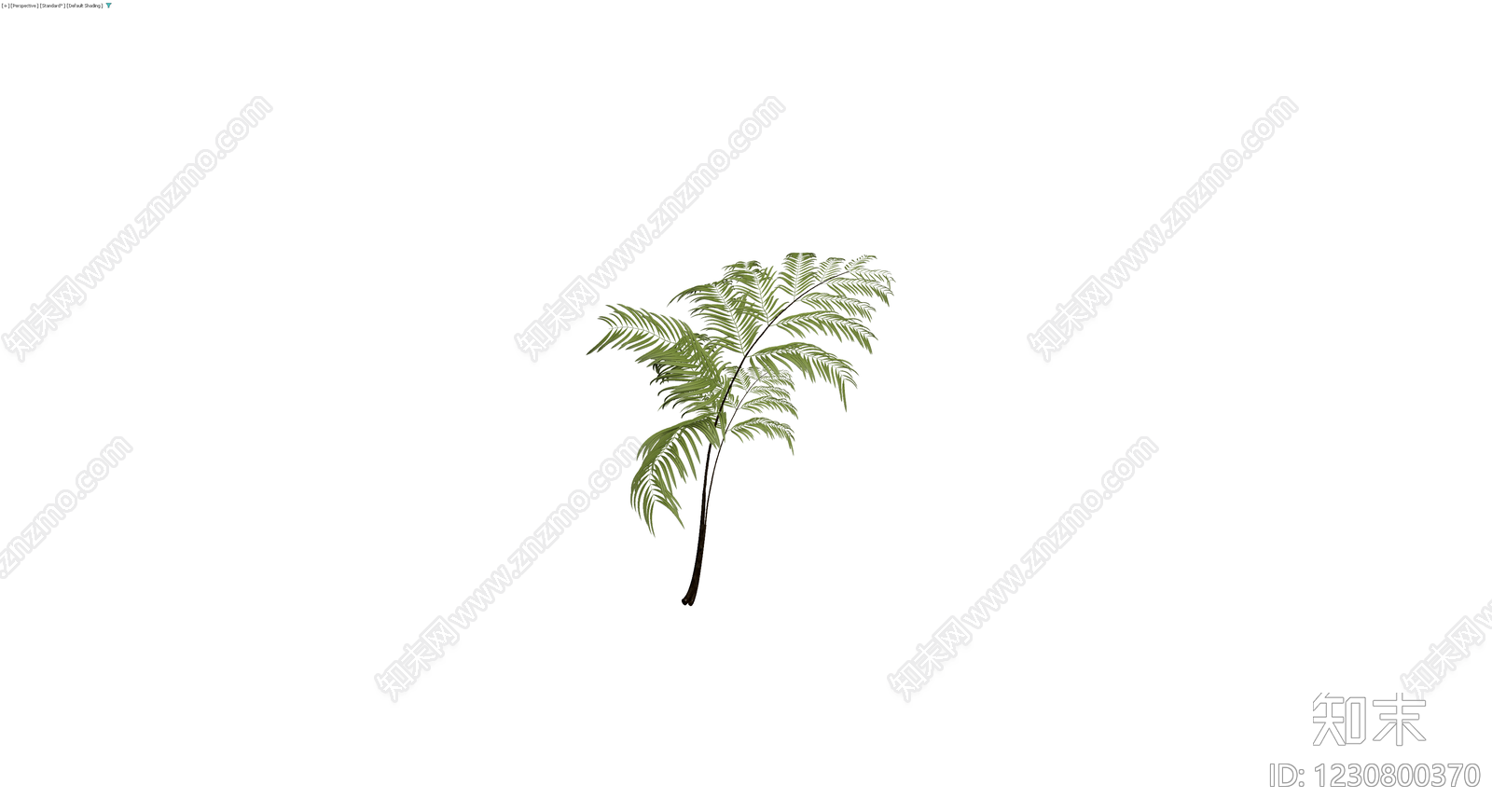 绿色蕨类植物模型3D模型下载【ID:1230800370】