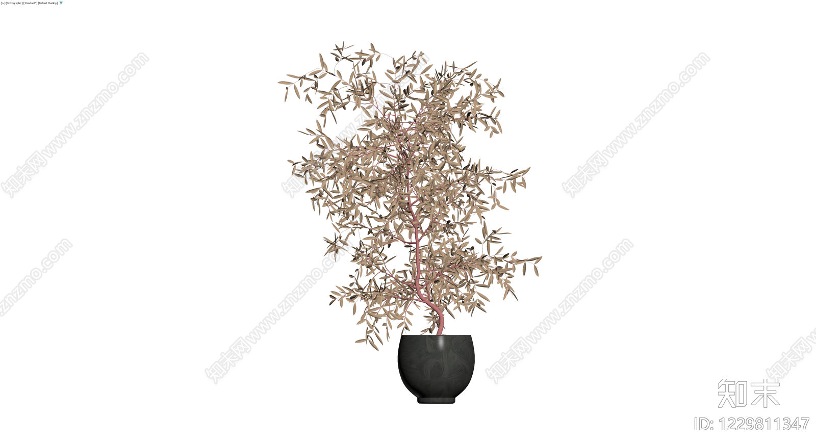 盆栽橄榄树模型3D模型下载【ID:1229811347】