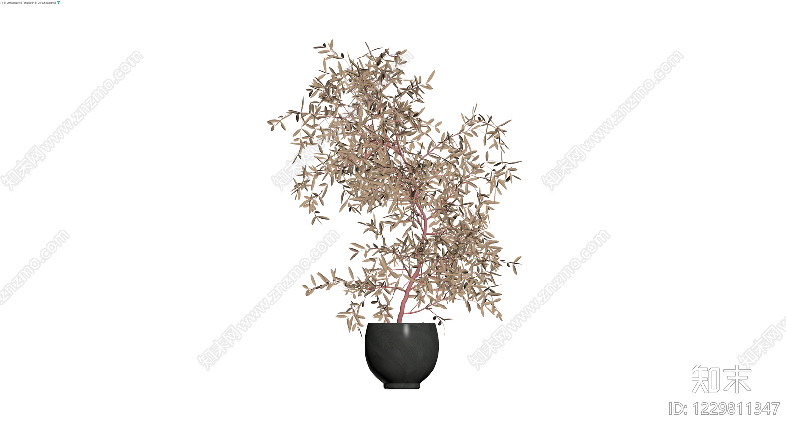 盆栽橄榄树模型3D模型下载【ID:1229811347】